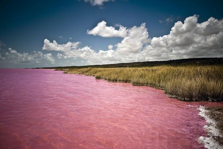 Lake Retba- Senegal